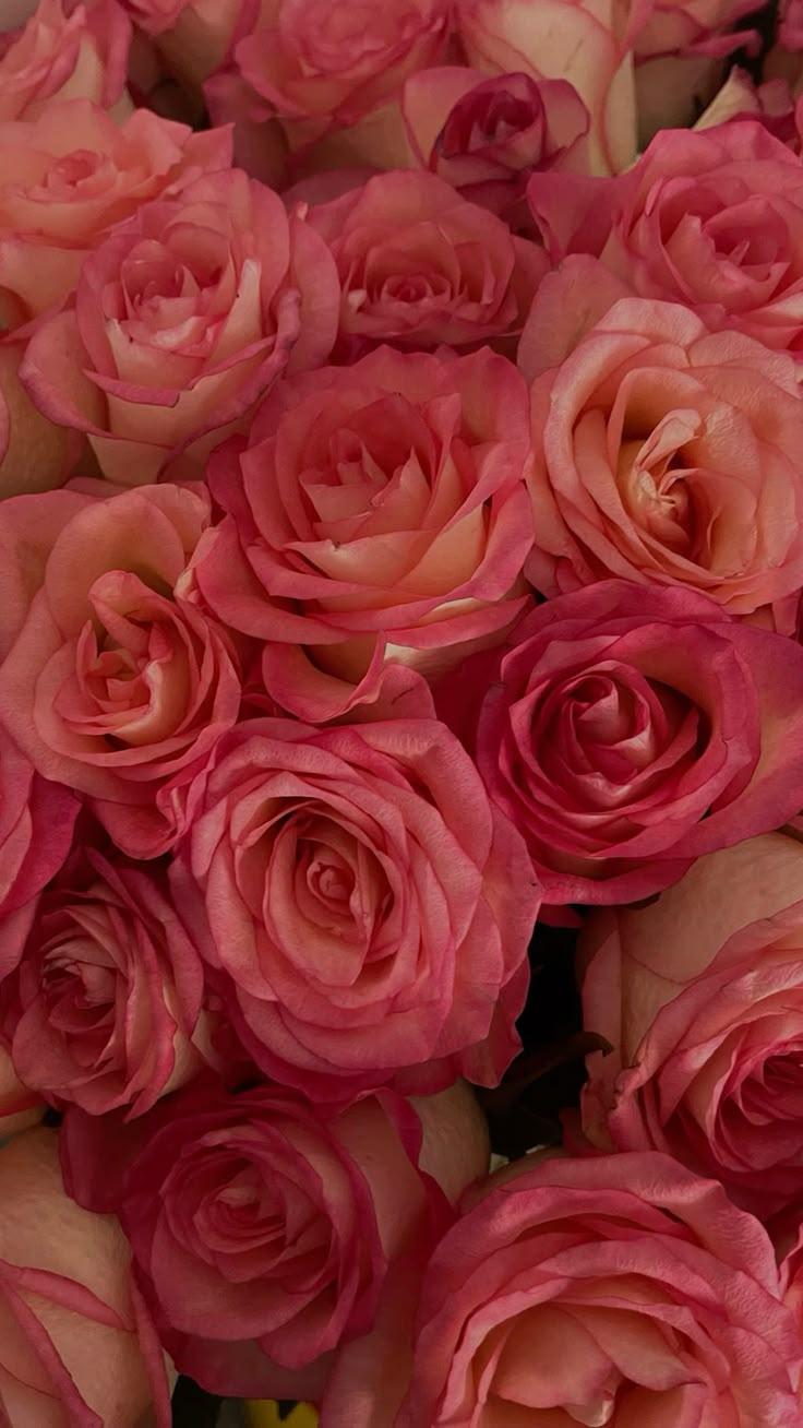 Corporate meeting room with carefully timed floral arrangements that maintain elegance throughout business hours